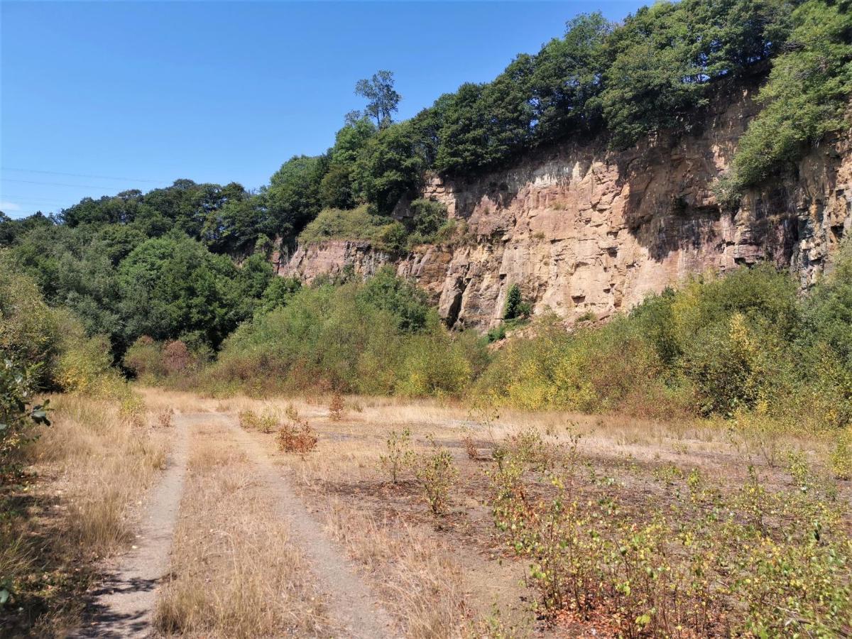Domaine Lvd Avec Spa, Bois Et Riviere Privee La Bloutiere Exterior foto